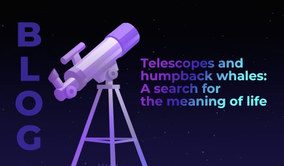 Telescopes and humpback whales: A search for the meaning of life